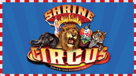 Circus Carnival Review 2024